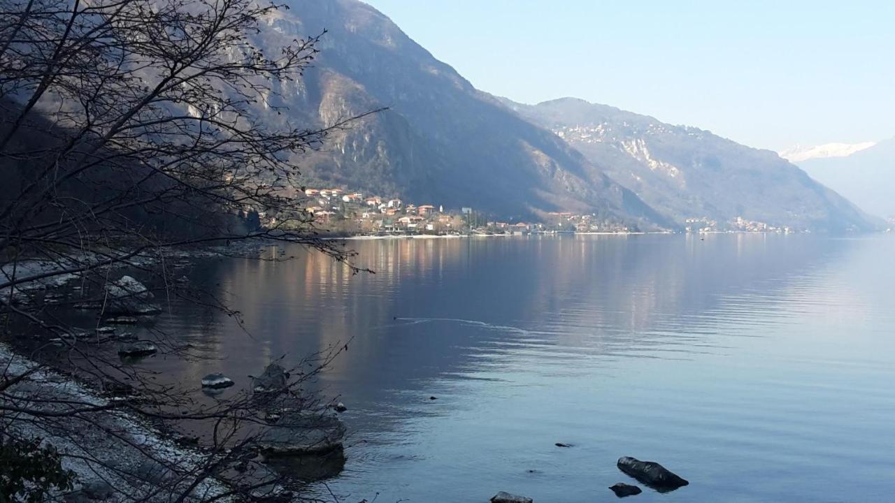 New Eleven Apartment on Como Lake Oliveto Lario Buitenkant foto